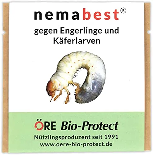 nemabest® HB Nematoden für 100m² - Effektive Bekämpfung von Engerlingen und Käferlarven - Nützliche Insekten zur Schädlingsbekämpfung. Biologisches Produkt, sicher für Menschen und Pflanzen, bekämpft effektiv Larven ab 12°C Bodentemperatur.