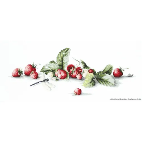 Luca-S Etüde mit Erdbeeren und Libelle Aida Kreuzstichset - Zählbares Kreuzstich-Set, ideal für kreative Hobbynäher. Mit 36 Farben und umfassender Anleitung in mehreren Sprachen für ein einzigartiges Stick-Erlebnis.