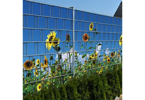 zaunzu Sichtschutzstreifen Sonnenblumen - 2,5m x 1,8m - Hochwertige Sichtschutzstreifen mit fotorealistischen Sonnenblumen-Motiv für stilvolle Privatsphäre im Garten. Wetterfest und langlebig, ideal für Doppelstabmattenzäune.