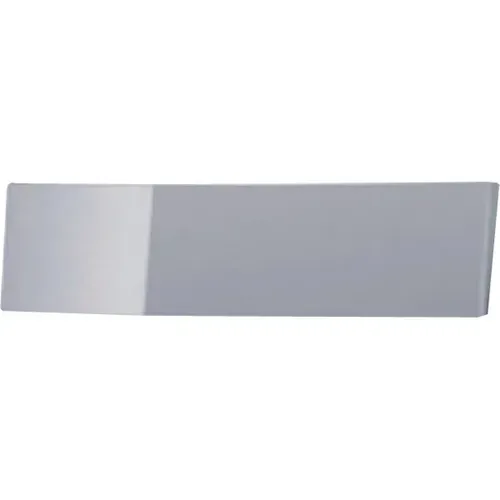 CWS Panel für Paradise Toilettenpapierspender – Silber - Stylisches Frontpanel für den CWS Paradise Toilettenpapierspender in Silber. Wählen Sie Ihre Farbe für ein individuelles Ambiente im Waschraum. Ideal für moderne Badezimmergestaltung.