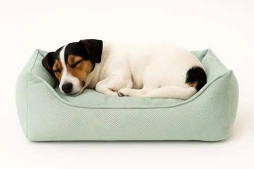 Flamingo Orthopädisches Hundebett Baldar – Ergonomischer Komfort für Hunde - Hundebetten – Das Flamingo Baldar (65 cm) bietet orthopädische Unterstützung für gesunden Schlaf und reduziert Gelenk- und Wirbelsäulendruck.