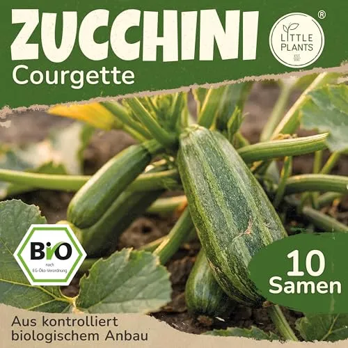 Little Plants BIO Zucchini Samen 10 Zucchinisamen Courgette Gemüsesamen für Gemüsegarten Samenfest Gemüse Samen für Küche, Balkon und Garten