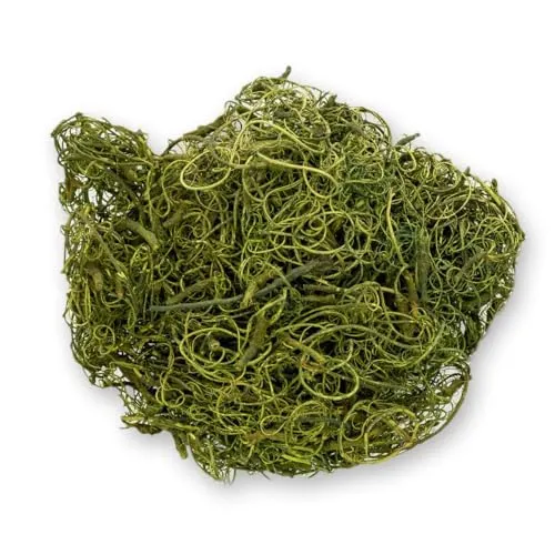 NaDeco Curly Moos moosgrün 50g | Curlymoos | Tillandsia Moos | Deko Moos | Bastelmoos | Dekomoos | Bastel Moos | Moos zum Basteln