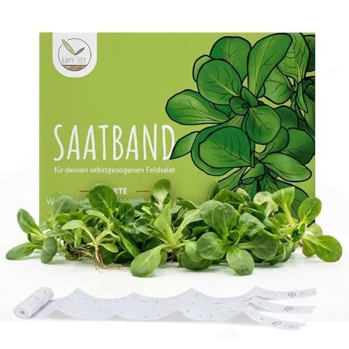 5m Saatband Feldsalat Samen (Verte a coeur plein 2 - Valerianella locusta) - Knackig, frischer Salat ideal für die Anzucht im Garten, Balkonkasten & Gemüsebeet