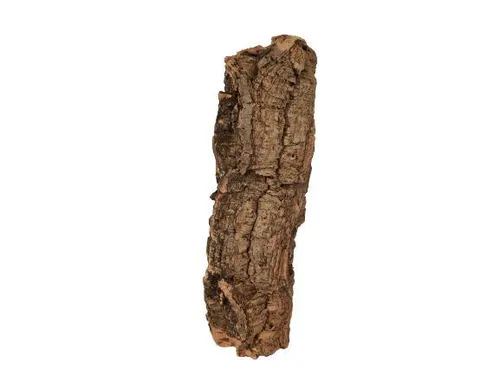 Korkrinde mind. 50 - max. 80 cm lang; Außendurchmesser: ca. 10-15 cm