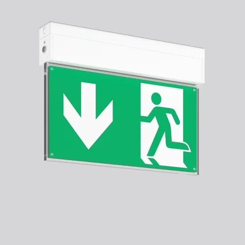 RZB LED-Notleuchte 671985.002.2 – Effiziente Rettungswegkennzeichnung - Hochwertige LED-Notleuchte für Wandanbau oder Deckenanbau. Ideal zur klaren Kennzeichnung von Rettungswegen, mit langlebigem Aluminiumgehäuse und zentraler Einspeisung.