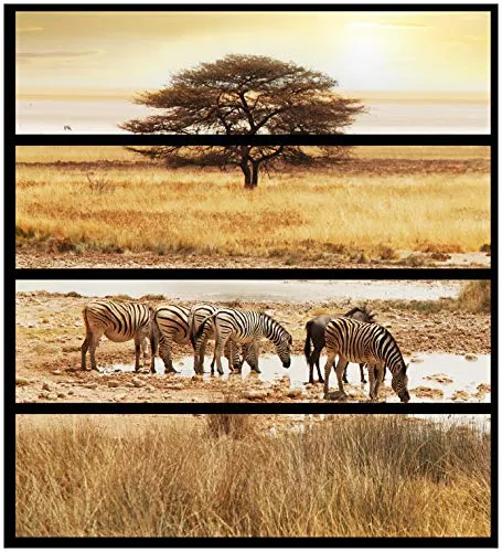 Wallario Möbelfolie/Aufkleber, geeignet für IKEA Malm Kommode mit 4 Schubfächern - Klebefolie Safari in Afrika eine Herde Zebras am Wasser