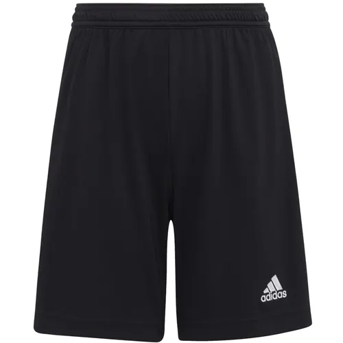 Adidas Entrada 22 Short Kinder - schwarz