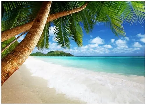 Fototapete Strand Meer Palmen Blau Karibik Ozean 300x210 cm - inkl. Kleister - für Wohnzimmer Schlafzimmer Flur Modern Vlies Tapete Vliestapete Wandtapete Motivtapeten UV-Beständig