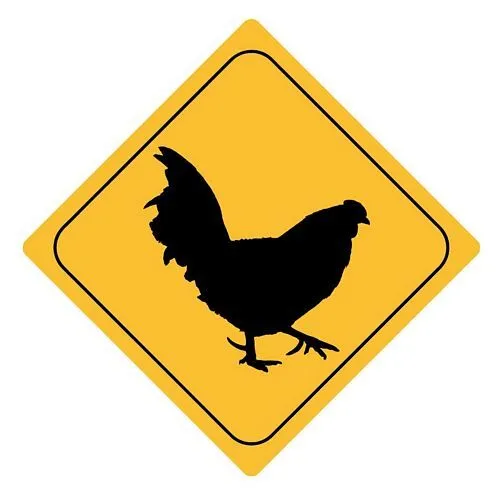 Autoaufkleber Sticker Achtung Huhn Aufkleber