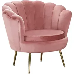 SalesFever Muschel-Sessel in Rose mit Samt-Bezug - Moderner Sessel im Muschel-Design, hochwertiger Samt-Bezug und elegantes goldfarbenes Metallgestell für erstklassigen Sitzkomfort und stilvollen Akzent in jedem Raum.