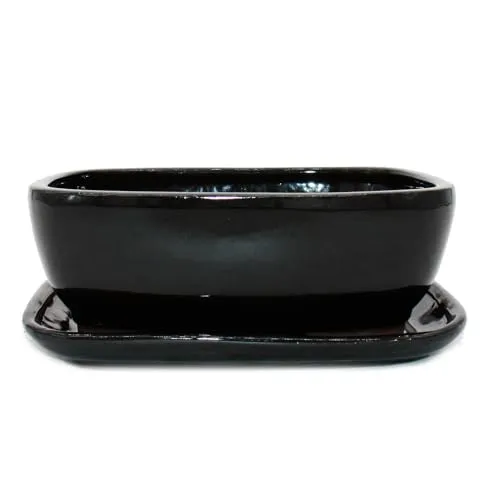 Exotenherz Bonsai-Schale mit Unterteller, Gr. 4, Schwarz Anthrazit, 26 cm - Hochwertige Bonsai-Schale aus Yixing mit praktischem Untersetzer. Ideal für Bonsai-Pflege, sorgt für stilvolle Akzente und schützt Ihre Möbel. Perfekt für Einsteiger und Profis!