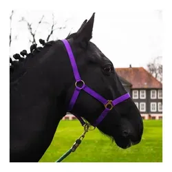 Pferdelinis Halfter Halfter für Pferde 2-Fach verstellbar an Kinnriemen und Genickstück, zweifach verstellbar lila Pony