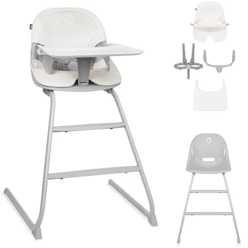LIONELO DALIA 2-in-1 Babystuhl - Hochstuhl für Kinder von 6 bis 60 kg, mitwachsend und sicher dank 5-Punkt-Gurt. Leicht und kompakt für einfachen Transport, inklusive spülmaschinenfestem Tablett.