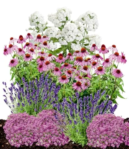 BALDUR Garten Staudenbeet 'Insekten-Hit' - 9 Pflanzen für üppige Blütenpracht - Blumensamen & -pflanzen - Wertvolle Bienenweide mit ganzjähriger Blütenpracht, winterhart und pflegeleicht, ideal für Gartenliebhaber.