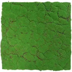 JANGAL Modular Wall 11108 - Wandpaneel in Forest Green - Wand & Decke: Hochwertiges Wandpaneel aus Kunststoff, ideal für kreative Innenraumgestaltungen mit natürlicher Optik.