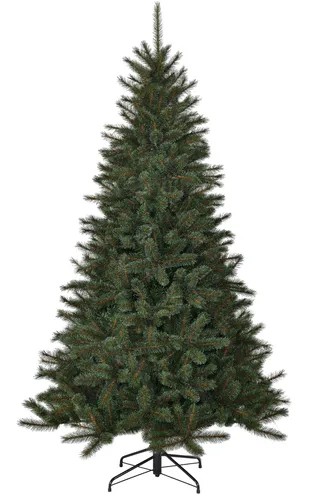 Black Box Trees Toronto Künstlicher Weihnachtsbaum – H155 x Ø102 cm – Grün - Künstlicher Weihnachtsbaum mit 511 Zweigen für ein volles Erscheinungsbild. Einfach aufzustellen dank praktischem Klicksystem. Ideal für jedes Zuhause, sorgt für festliche Stimmung ohne herabfallende Nadeln.