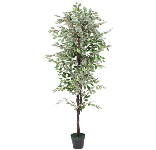 Kunstbaum Ficus Benjamin 180 cm – Dekorative Kunstpflanze für Ihr Zuhause - Eleganter Kunstbaum Ficus Benjamin in 180 cm Höhe, ideal für Innenräume. Bringen Sie frisches Grün in Ihre Räume ohne Pflegeaufwand.