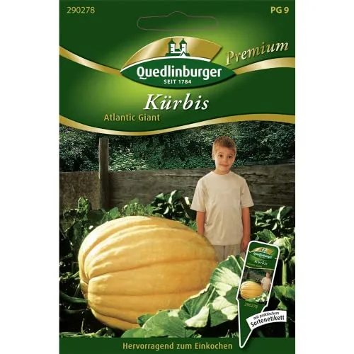 Kürbis, Atlantic Giant