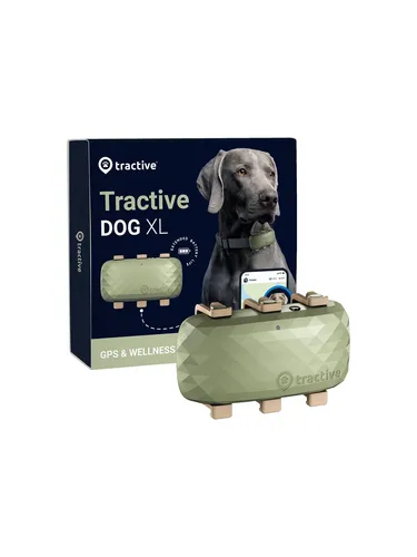 Tractive XL GPS Tracker für Hunde - Echtzeit-Ortung, bis zu 1 Monat Akku, Weglaufalarm und Gesundheitswarnungen für sorgloses Gassigehen