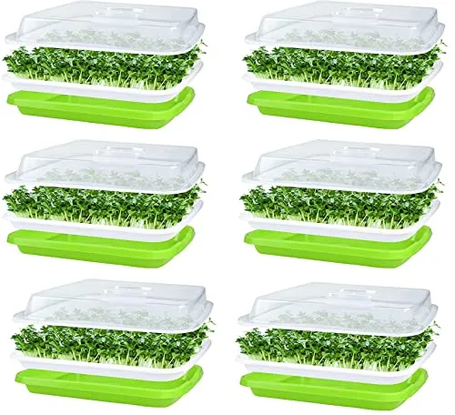 KAHEIGN 6Pcs Keimschalen für Sprossen, Seed Sprouter Tray 32cm x 26cm Keimschale Sprossen mit Deckel für große Samen Keimung Tablett Keimbox für Anzucht von Mungbohnen Alfalfa Weizengras