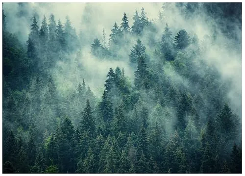 Fototapete Wald im Nebel Bäume Natur Grün 350x250 cm - inkl. Kleister - für Wohnzimmer Schlafzimmer Flur Modern Vlies Tapete Vliestapete Wandtapete Motivtapeten UV-Beständig