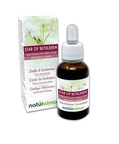 Star of Bethlehem oder Doldiger Milchstern (Ornithogalum umbellatum) Emotionale Blumen oder Bach-Blüten Naturalma - Tropfen 30 ml - Alkoholfreier Flüssigextrakt - Blütenessenzen - Vegan