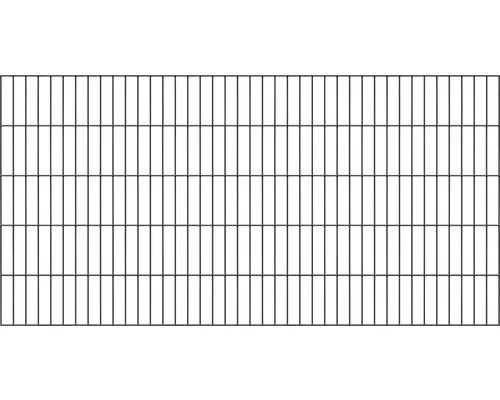 Doppelstab-Gittermatte 2000mm x 1000mm - Anthrazit - Doppelstabmattenzaun | Verzinkte, rostbeständige Matten für lange Lebensdauer | Kunstoffbeschichtet in Anthrazit (RAL 7016)