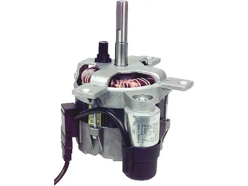 Brennermotor Olymp 30DV-110DV Thyssen TB2V, 110136 - Leistungsstarker Elektromotor für effiziente Anwendungen. Ideal für industrielle Nutzung, zuverlässig und langlebig.