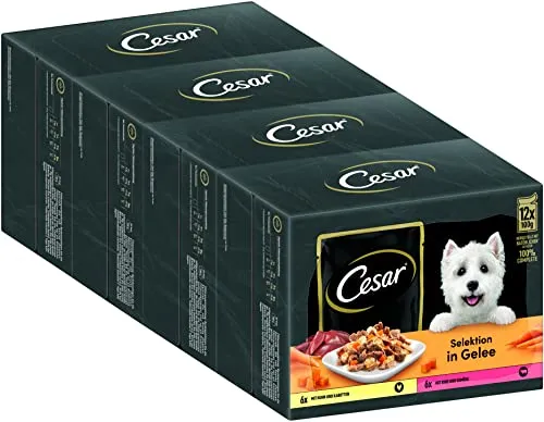 CESAR Adult Hundefutter nass - 4x12x100g mit Huhn & Rind - Ausgewogenes Premium Nassfutter für Hunde in Gelee, reich an Nährstoffen und ohne Zuckerzusatz. Ideal für alle Hundegrößen, sorgt für abwechslungsreichen Genuss und enthält gesunde Zutaten.