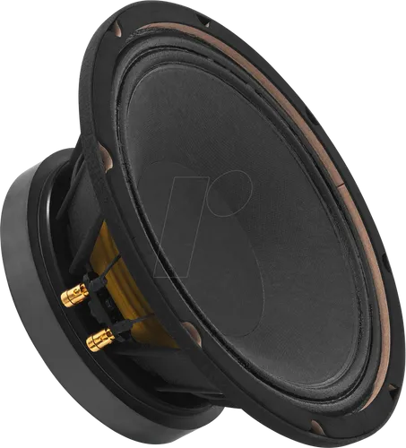 MONACOR SP-10/250PRO PA-Tiefmitteltöner - Hochbelastbarer 25 cm (10") Profi-Lautsprecher für tiefe Basswiedergabe, ideal für kompakte Subwoofer und PA-Anwendungen mit hoher Verarbeitungsqualität.