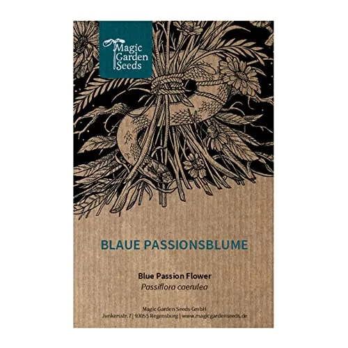 Blaue Passionsblume (Passiflora caerulea) - ca. 10 Samen