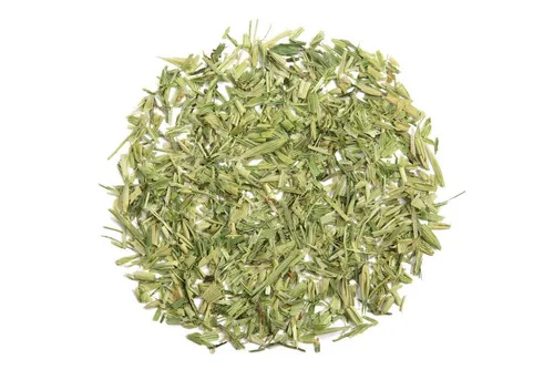 tea exclusive Tee Premium Grüner Hafertee, Grünhafer Tee BIO, 100g, sanft und weich mit delikater Süße.