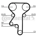 CONTINENTAL CTAM (CT870WP2) Wasserpumpe+Zahnriemensatz für OPEL CHEVROLET