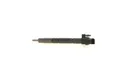 BOSCH Einspritzdüse 0 445 117 054