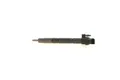 Einspritzdüse BOSCH 0 445 117 054 für AUDI Q5 8RB Van SQ5 TDI quattro