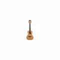 KALA KA-ASCP-C Pau Ferro Concert Ukulele with Case (UC-C)