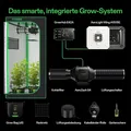 VIVOSUN Growbox Komplettset - 80 x 80 x 180 cm 150 Watt