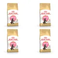 Royal Canin Maine Coon Kitten | 4er Pack | 4 x 400 g | Alleinfuttermittel für Maine Coon Kitten | Speziell für Maine Coon Katzenwelpen entwickelt | Bis zum 12. Lebensmonat