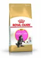 400g ROYAL CANIN Maine Coon Kittenfutter trocken für Kätzchen