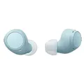 Sony WF-C510 True Wireless-Kopfhörer mit Mikrofon WFC510L