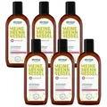 alkmene Haartonikum 6x Shampoo gegen fettige Haare mit Brennnessel 250 ml - Vegan, 6-tlg.