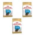 Royal Canin Yorkshire Terrier Puppy Trockenfutter | 3er Pack | 3 x 500 g | Speziell für Yorkshire Terrier Welpen bis zum 10. Monat | Unterstützung der körpereigenen Abwehrkräfte