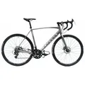 CHILLIZ Rennrad 28 Zoll RDB2.1 grau Rahmenhöhe 54 cm Damen Herren 14 Gänge - Grau