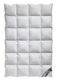 Arktic Kassetten Daunendecke Ganzjahresdecke 100% Natur