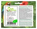Stk - 10x Strophanthus gerrardii Korkenzieherblume Pflanzen - Samen B314 - Seeds & Plants Shop by Ipsa