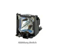 Benq 5J.JAM05.001 Original Ersatzlampe für PW9500 Lamp Kit, PX9600 Lamp Kit 1141026