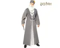 Riethmüller Kostüm Dumbledore Schulleiter Harry Potter für Erwachsene