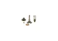 Bosch Teilesatz F 00Z C99 008