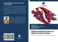 Bioflüssigkeitsströme in Röhren und Kanälen Devaki P (u. a.) Taschenbuch 100 S.